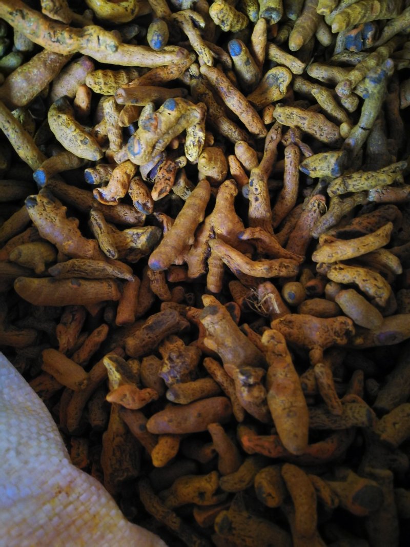 姜黄姜黄粉姜黄个含油量高味浓调料