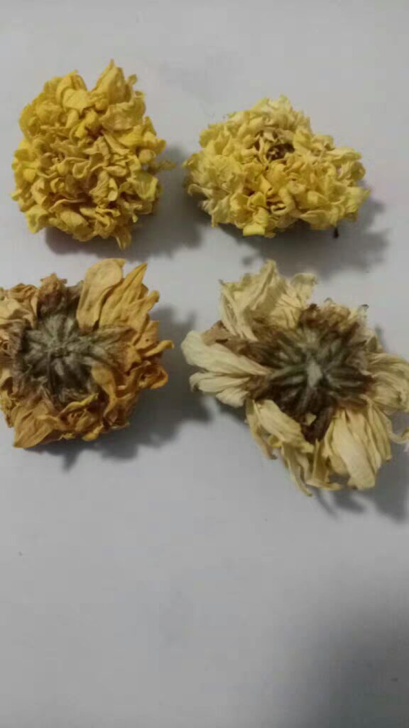 黄菊花黄贡菊农产品干品药材