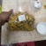 黄菊花黄贡菊农产品干品药材