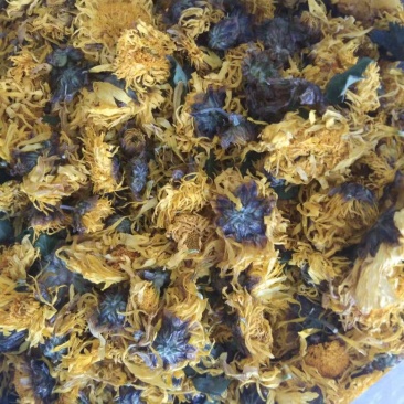 黄菊花黄贡菊农产品干品药材