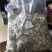 干荷叶小片干净荷叶农家初选