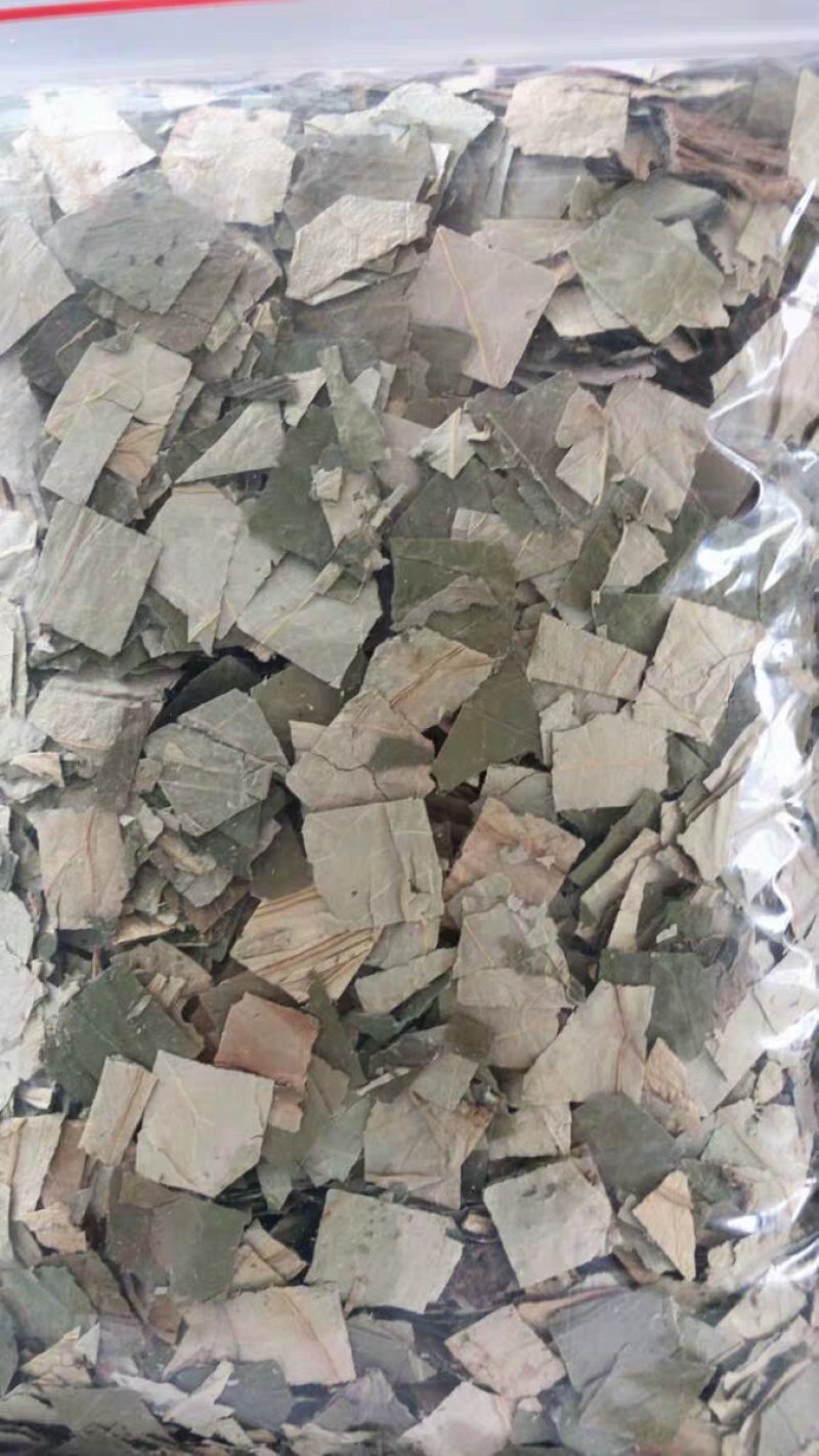 干荷叶小片干净荷叶农家初选