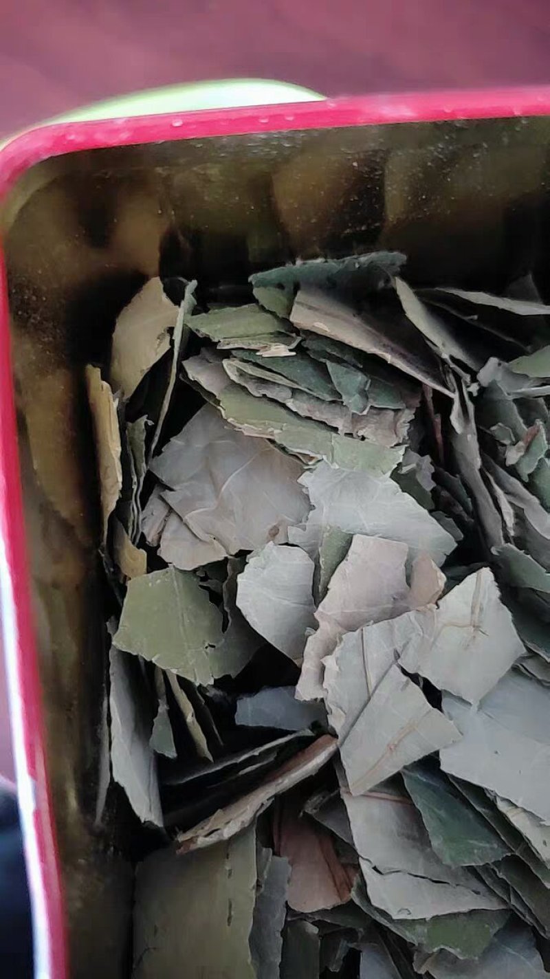 干荷叶小片干净荷叶农家初选
