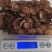 《明轩鹿业》鹿茸红粉片特粉片