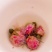 玫瑰花干玫瑰花药用玫瑰花干花朵农产品