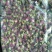 玫瑰花干玫瑰花药用玫瑰花干花朵农产品