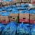 【大量上市】密刺黄瓜烂果包赔产地直供全国发货