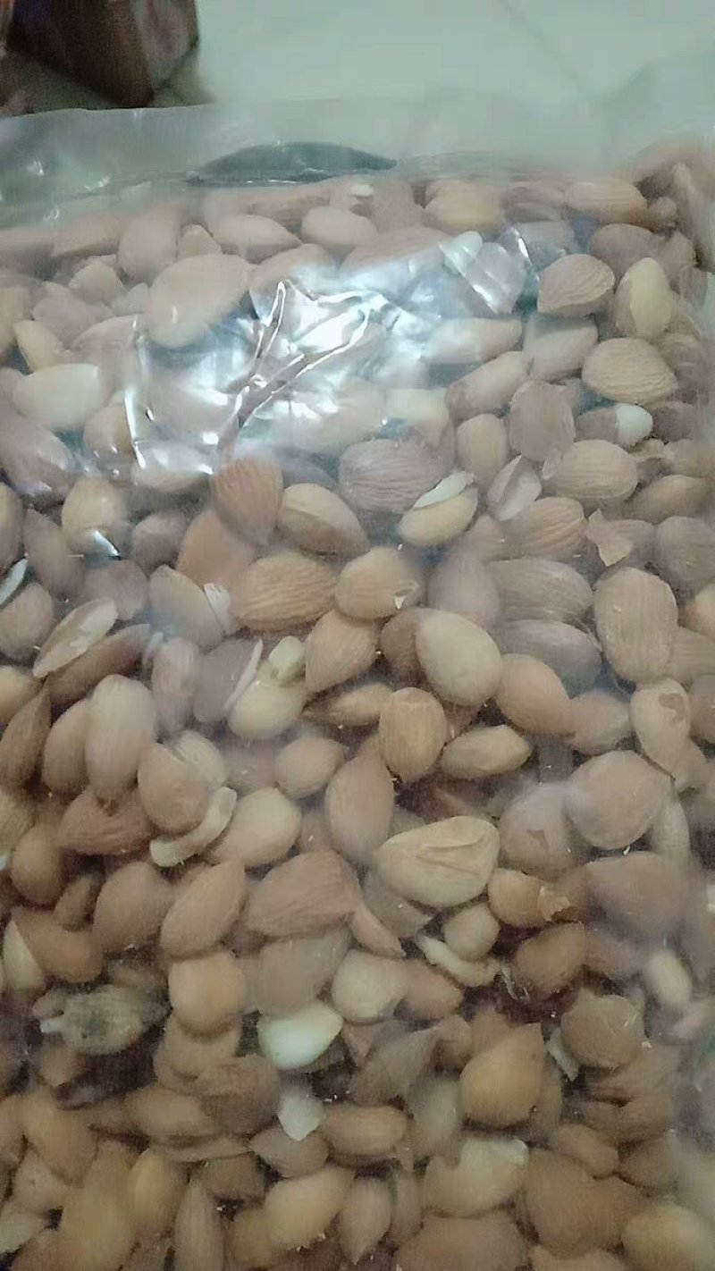 桃仁干桃仁干品初级农产品药材