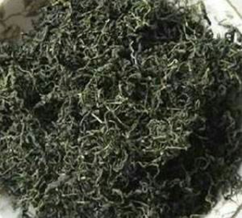 绞股蓝七叶绞股蓝七叶胆老鸹眼棵