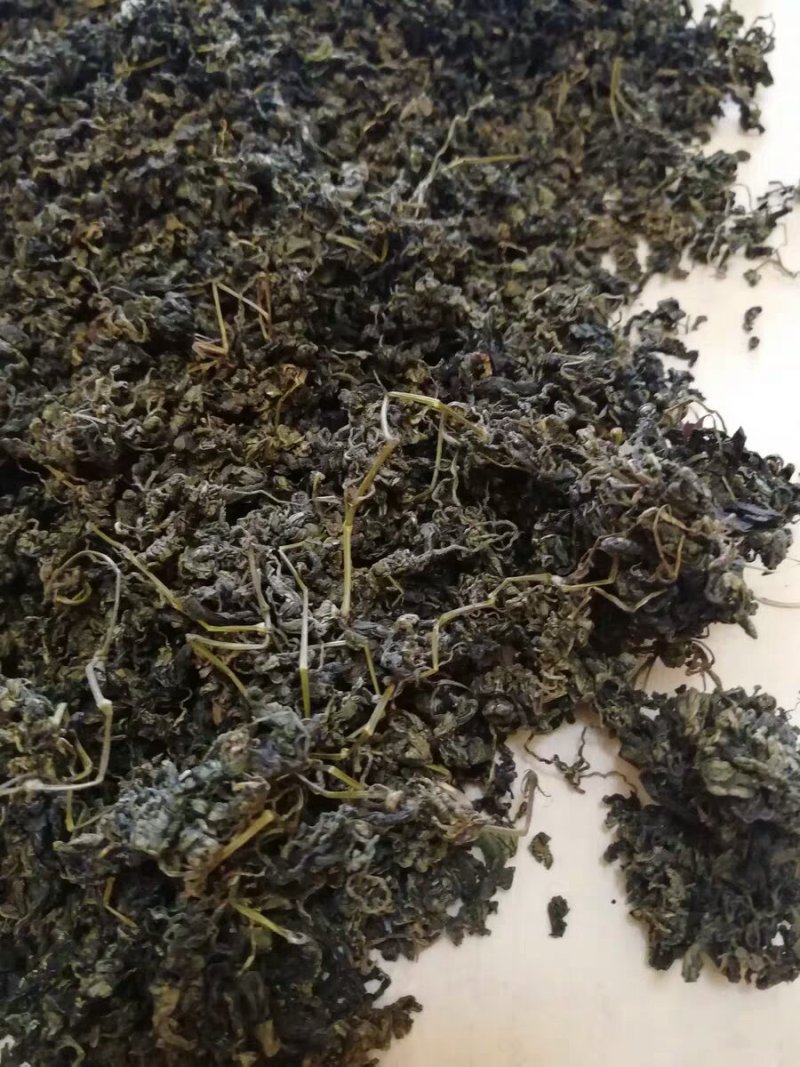 绞股蓝七叶绞股蓝七叶胆老鸹眼棵