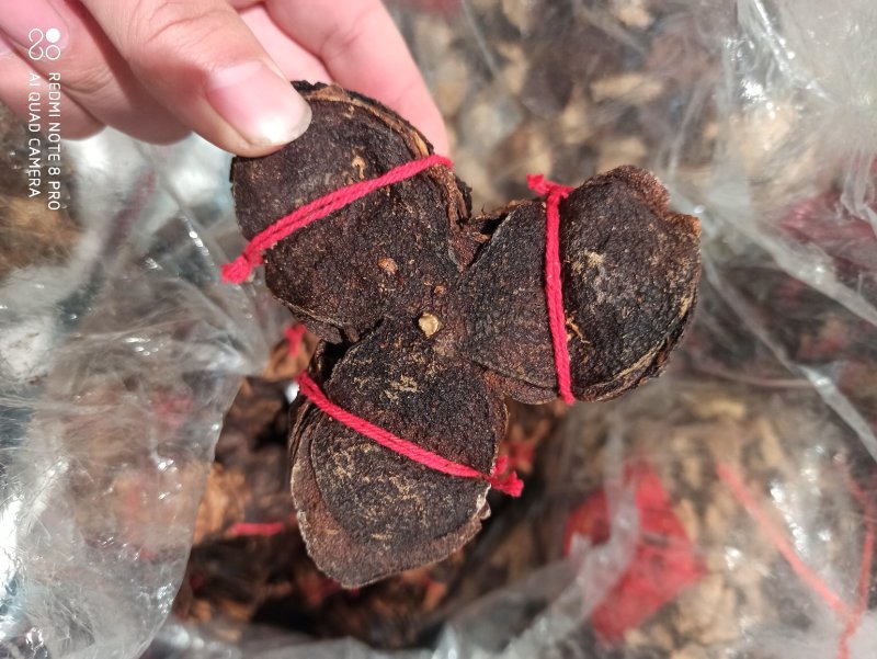 【牛】陈皮陈皮，药用正品各种规格专业经营批发