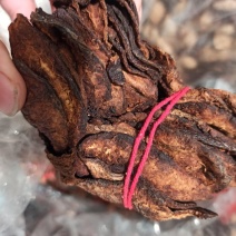 【牛】陈皮陈皮，药用正品各种规格专业经营批发