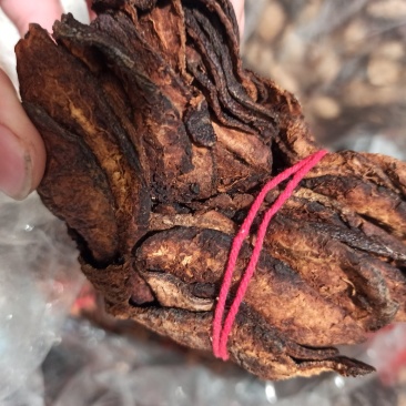 【牛】陈皮陈皮，药用正品各种规格专业经营批发