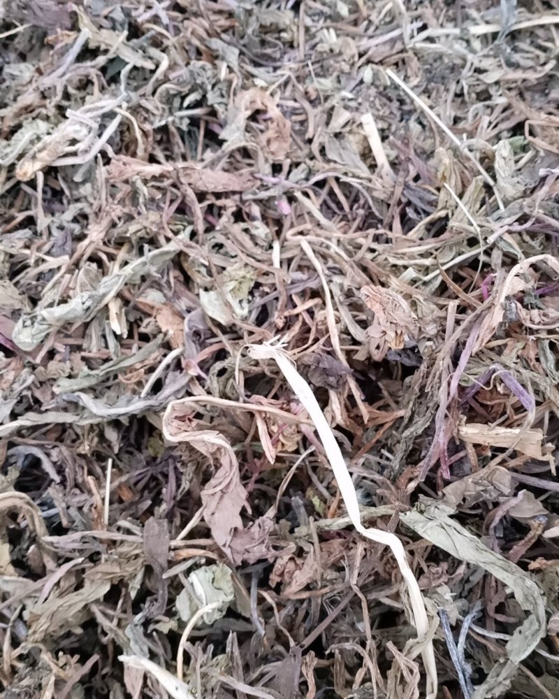 蒲公英，公英根，公英，大量现货再售可商议价