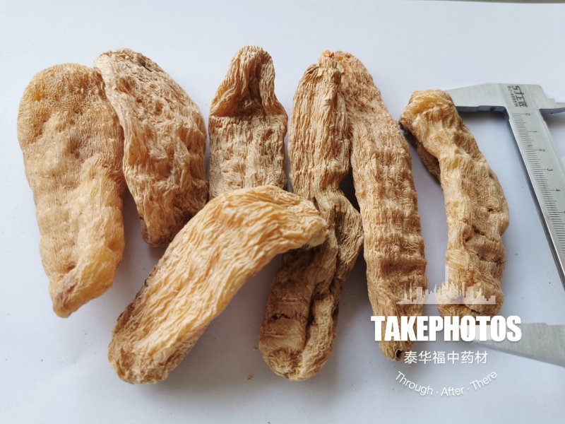 天麻云南昭通小草坝特级天麻纯干野生正宗品