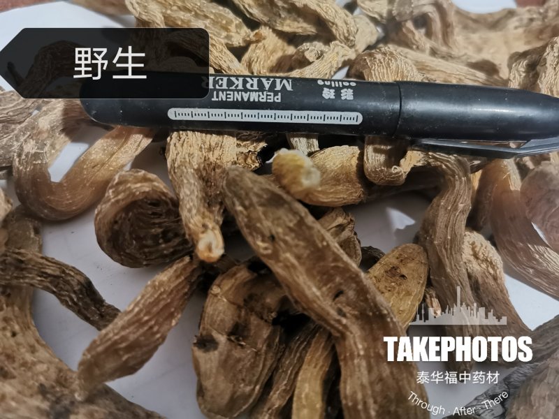天麻云南昭通小草坝特级天麻纯干野生正宗品