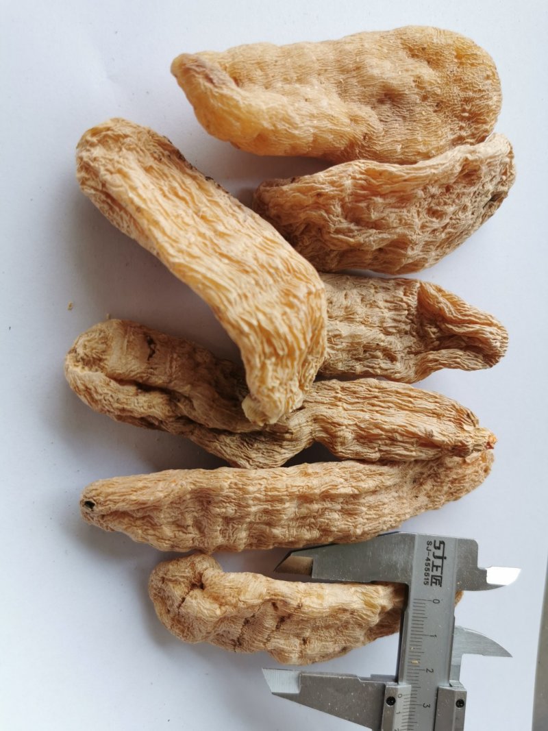 天麻云南昭通小草坝特级天麻纯干野生正宗品