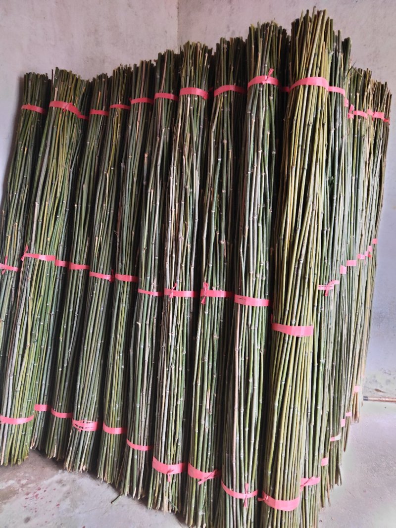 欢迎订购！大量新剁竹子。