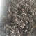 生长在大山里的天然地皮菜靓货经过手工捡干净长年有货