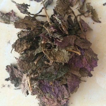紫苏叶干品紫苏初级农产品药材