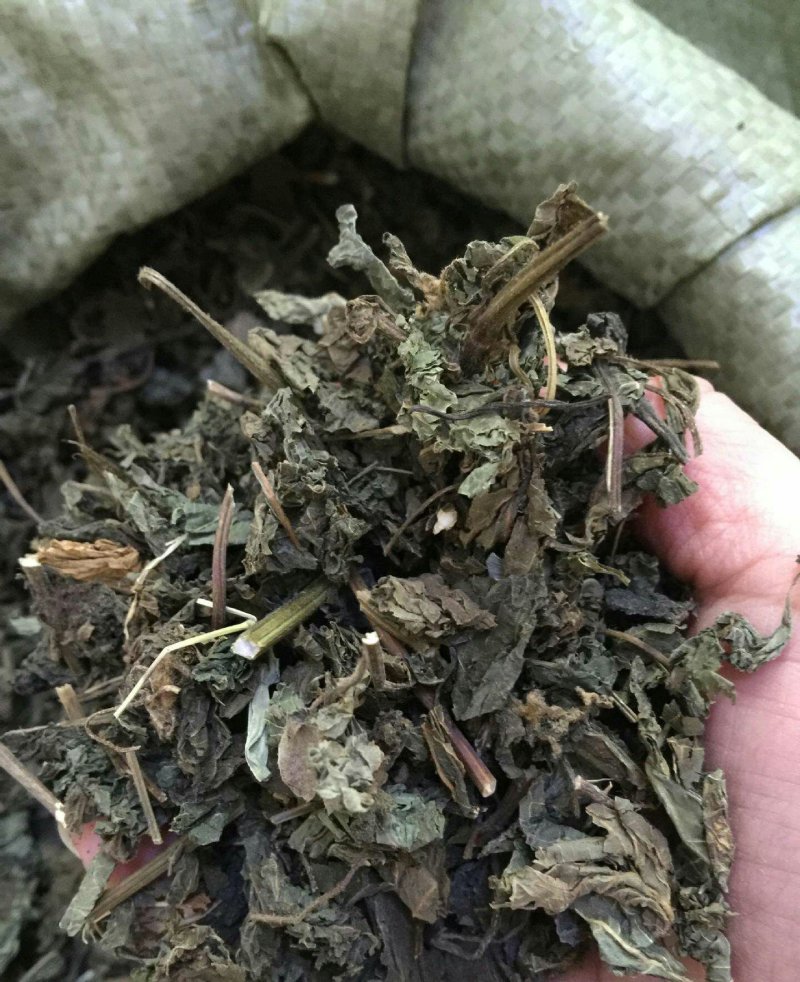 紫苏叶干品紫苏初级农产品药材