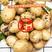 神农架油炸炕迷你小洋芋小土豆专用各种迷你土豆全年大量供应