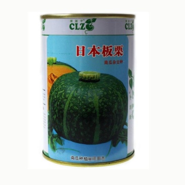 日本板栗南瓜种子黑板栗籽口感好甘面迷你型高产
