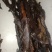 牛肉干，草地牛肉，产品直发，，，，，，，