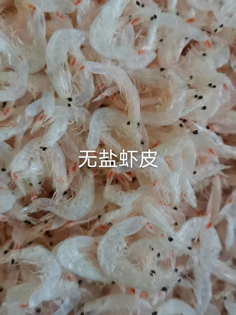 无盐虾皮，补钙神器，大量有货，批发价不包邮