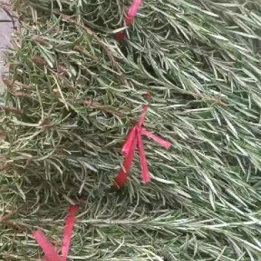 香香世界，有情永在，互相关爱，合做共赢，实在买卖