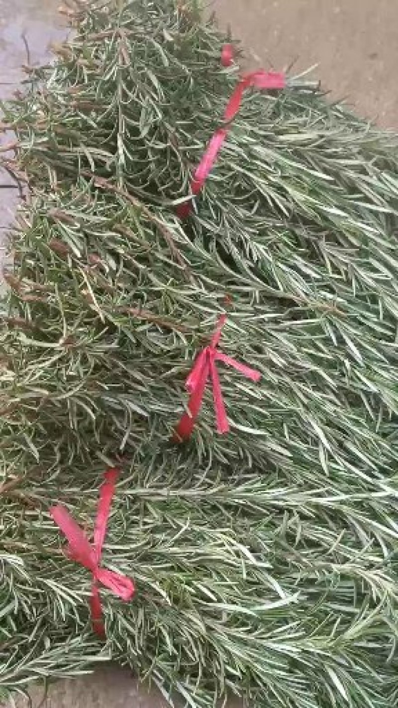 香香世界，有情永在，互相关爱，合做共赢，实在买卖