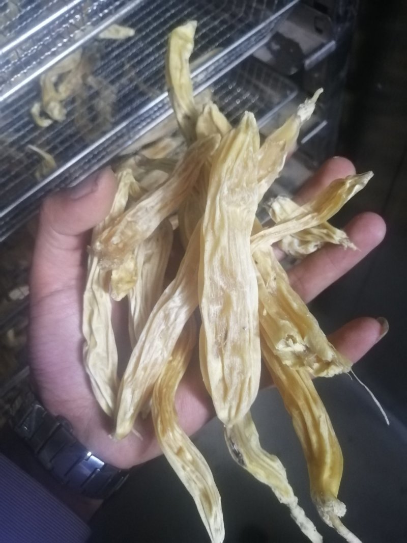 贵州野生天冬足干，无硫