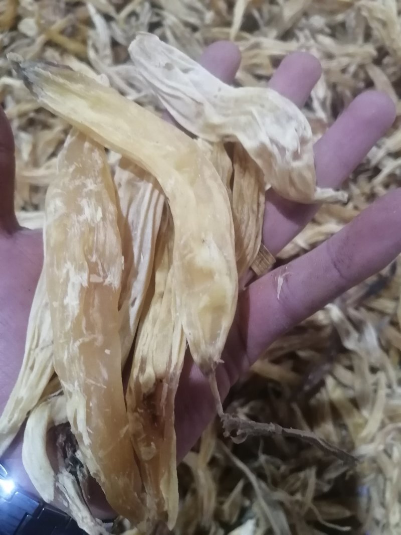 贵州野生天冬足干，无硫