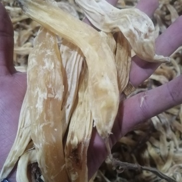 贵州野生天冬足干，无硫