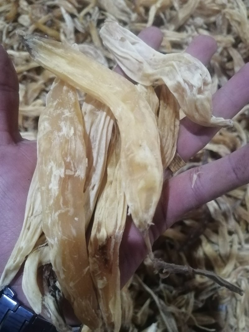 贵州野生天冬足干，无硫