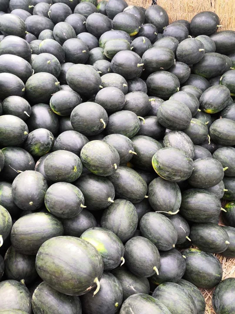 产地西瓜大量上市中！