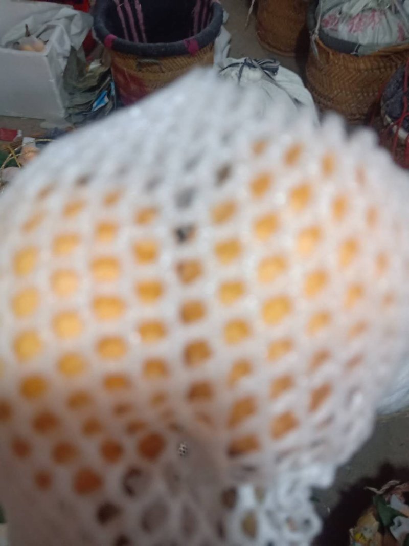 枇杷