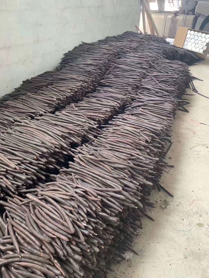 云南土特产便秘果大货批发、支持一件代发500g/装
