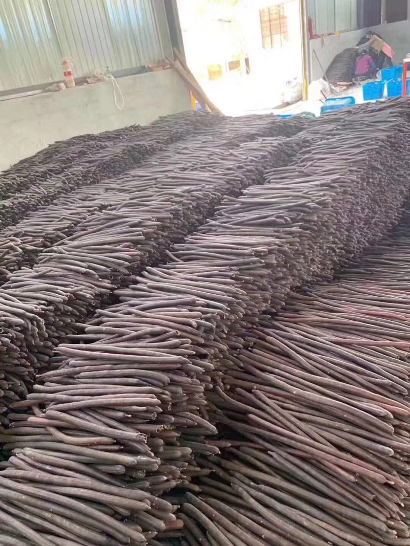 云南土特产便秘果大货批发、支持一件代发500g/装