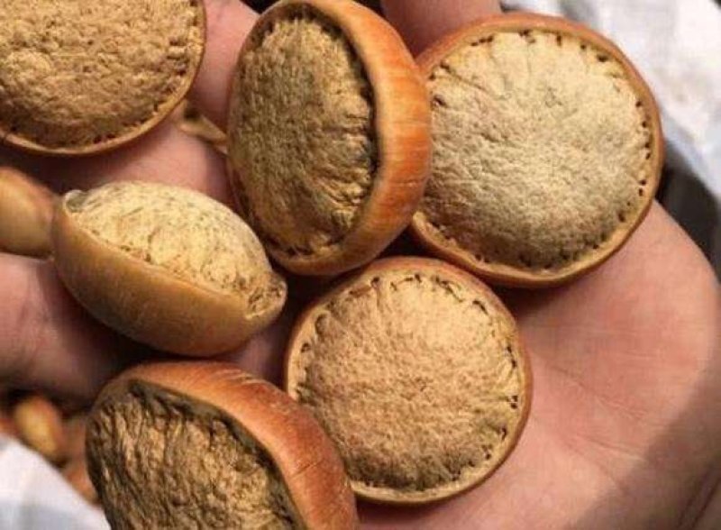 风流果，，产地直销，批发零售，量大从优