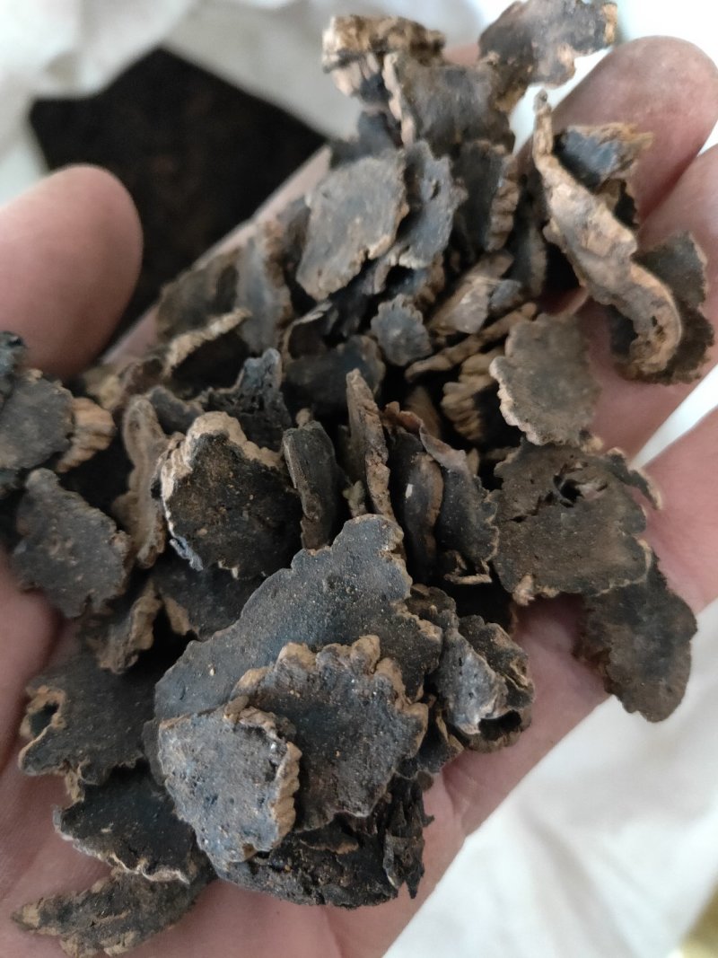 玄参元参纯干货好量大不满意可以退换货