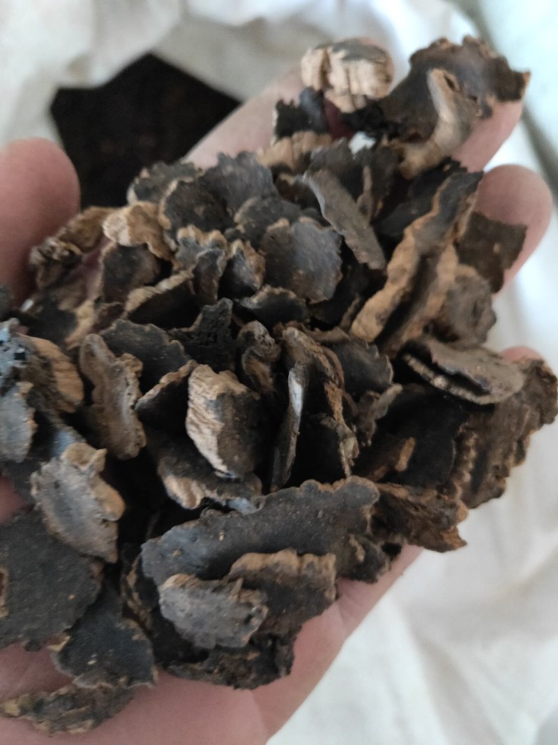 玄参元参纯干货好量大不满意可以退换货