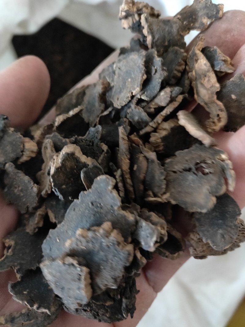 玄参元参纯干货好量大不满意可以退换货