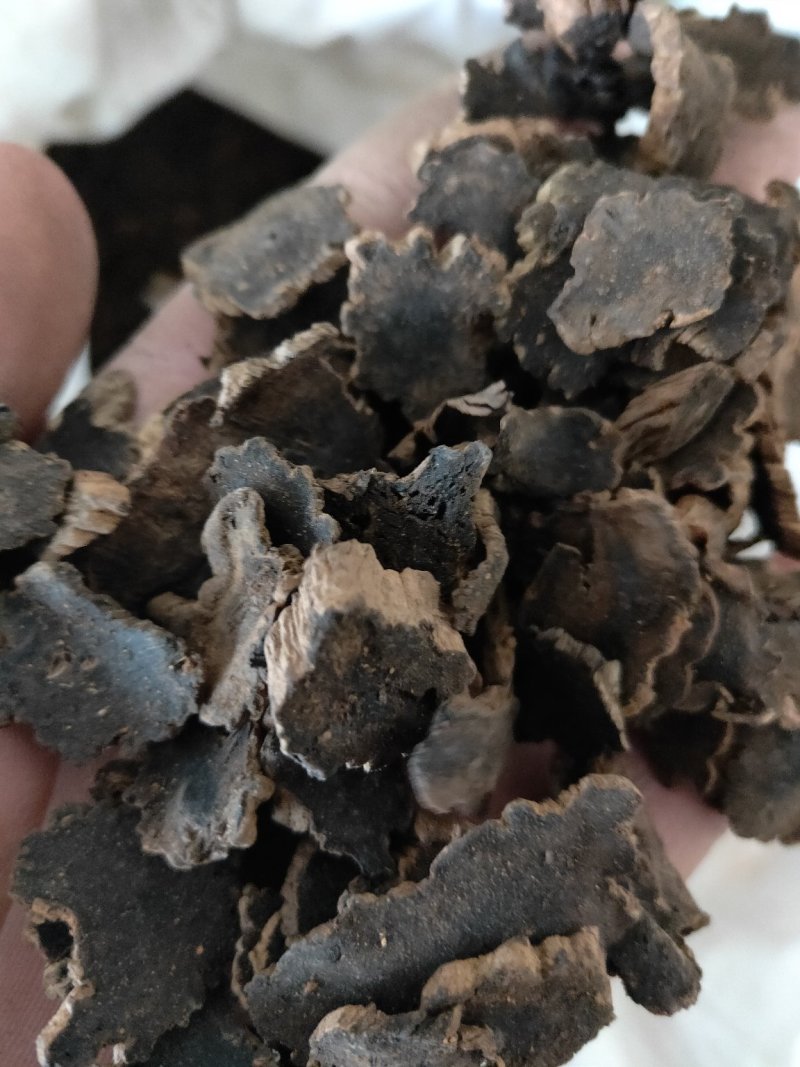 玄参元参纯干货好量大不满意可以退换货
