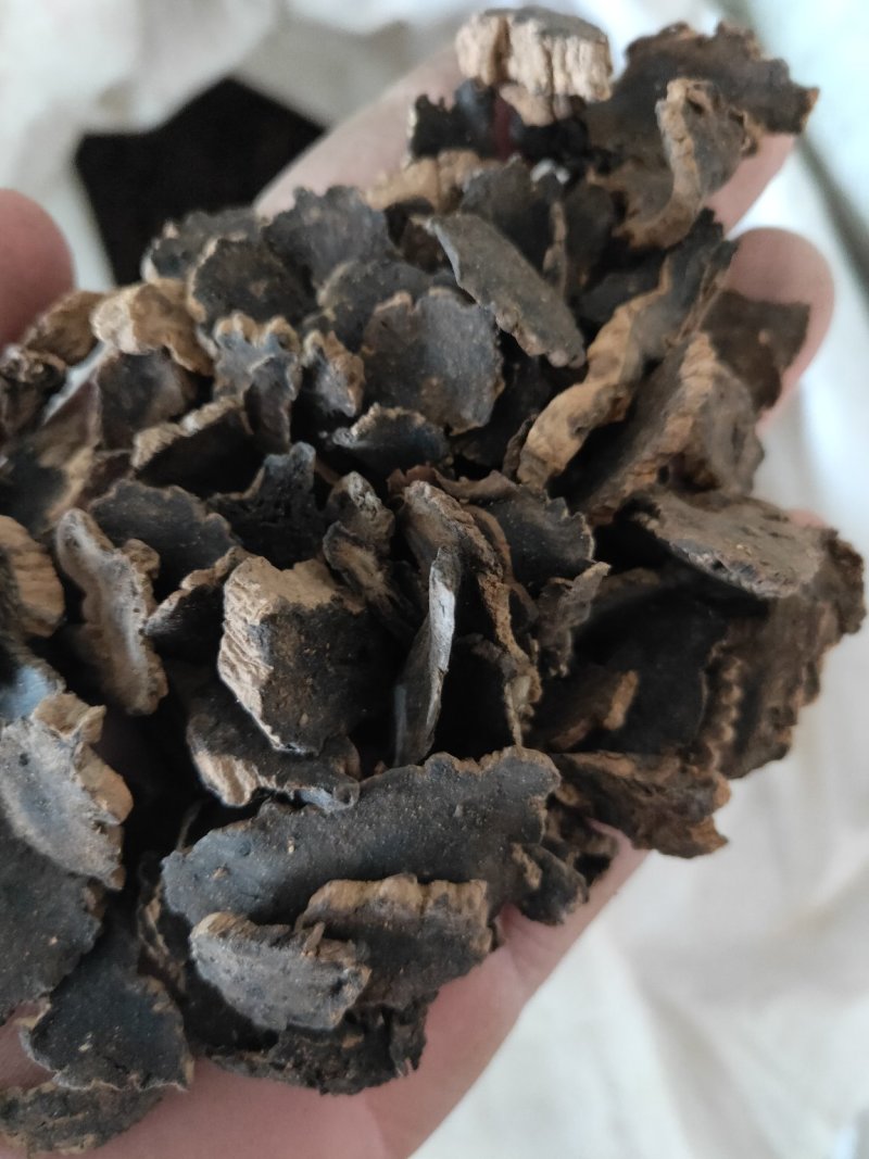 玄参元参纯干货好量大不满意可以退换货