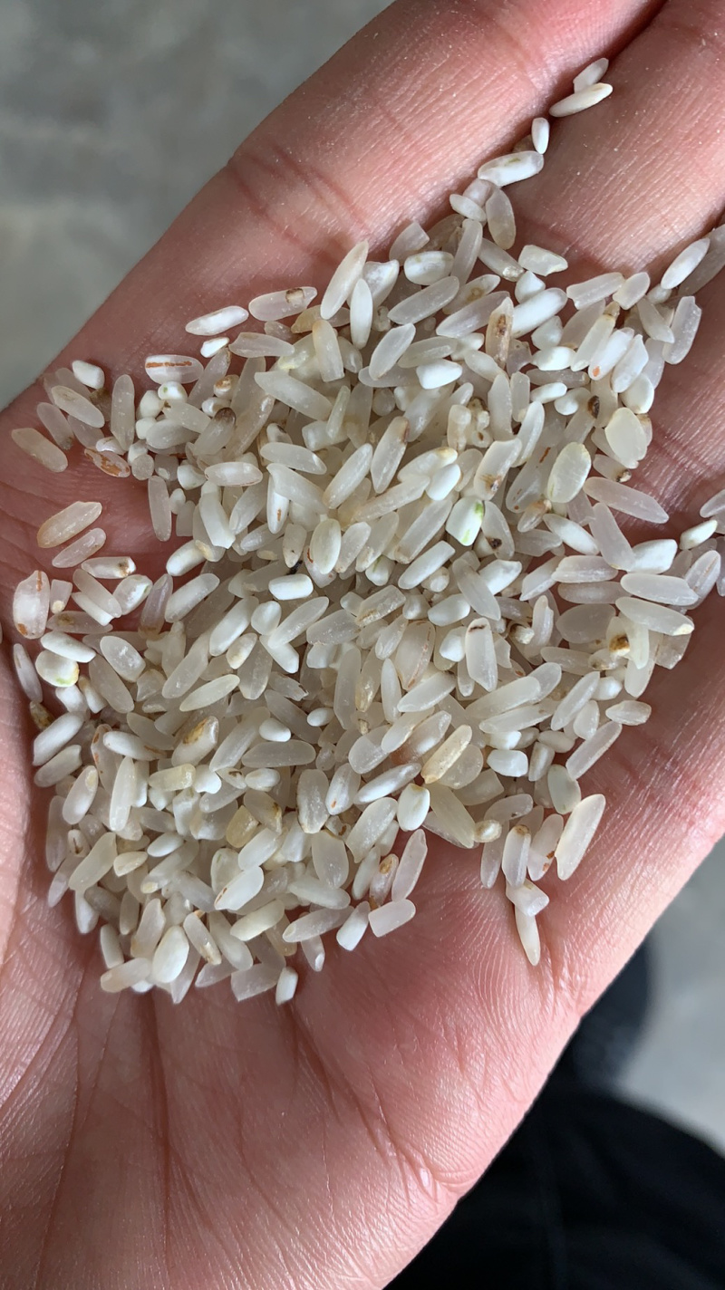 统糠油糠碎米黄米白米陈米，粉米，大量有货