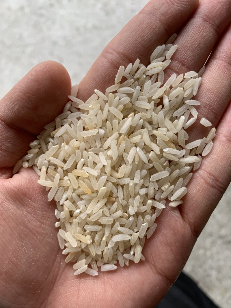 统糠油糠碎米黄米白米陈米，粉米，大量有货