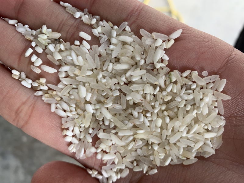 统糠油糠碎米黄米白米陈米，粉米，大量有货