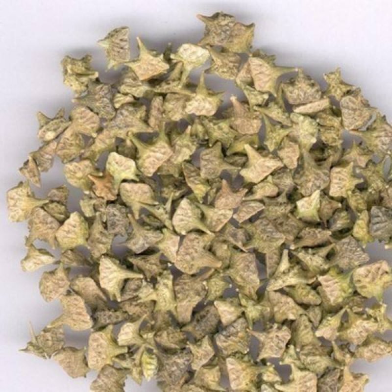 刺蒺藜，，产地直销，批发零售，量大从优