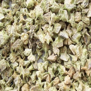 刺蒺藜，，产地直销，批发零售，量大从优